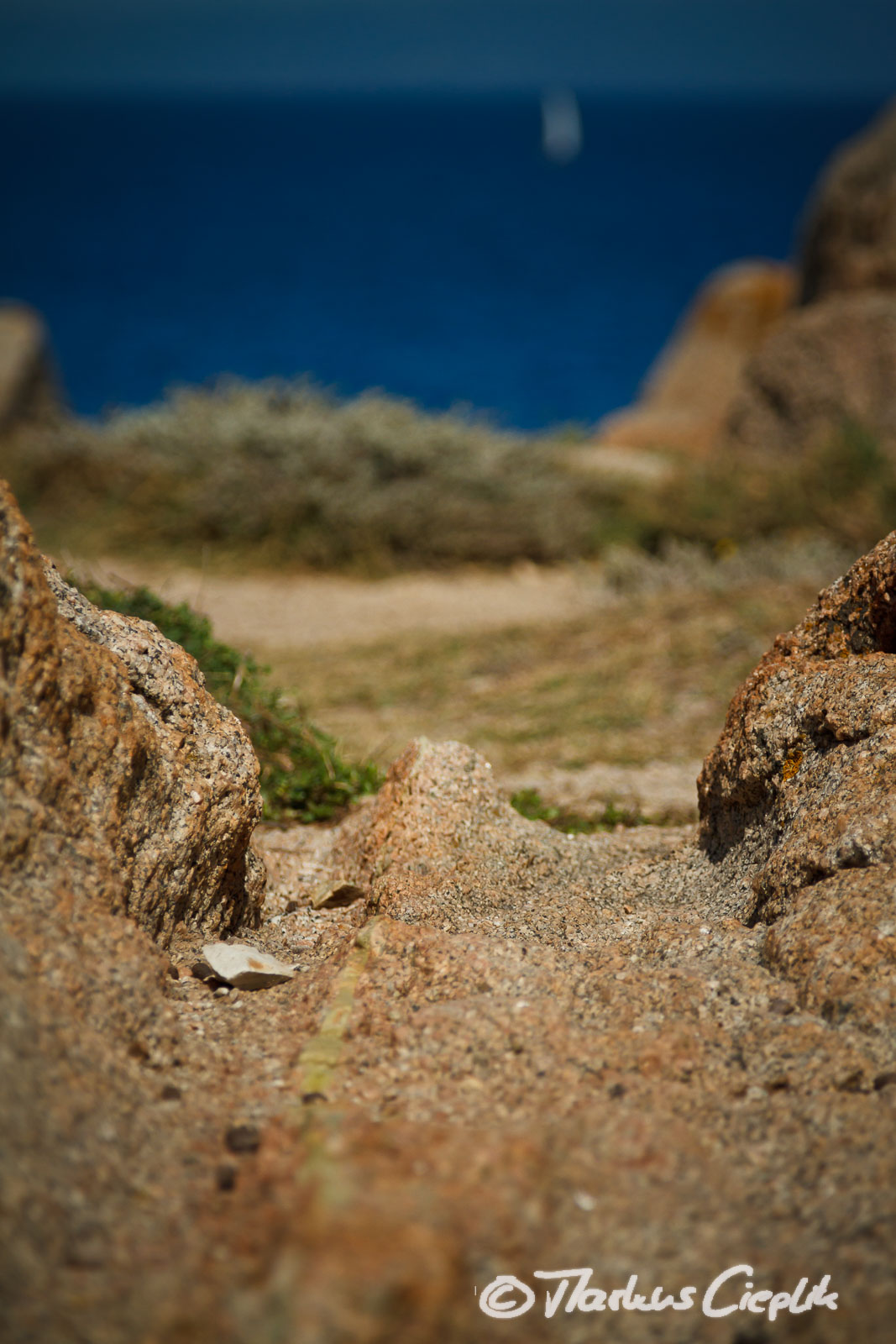 20110922_115254_Sardinien_1375.jpg