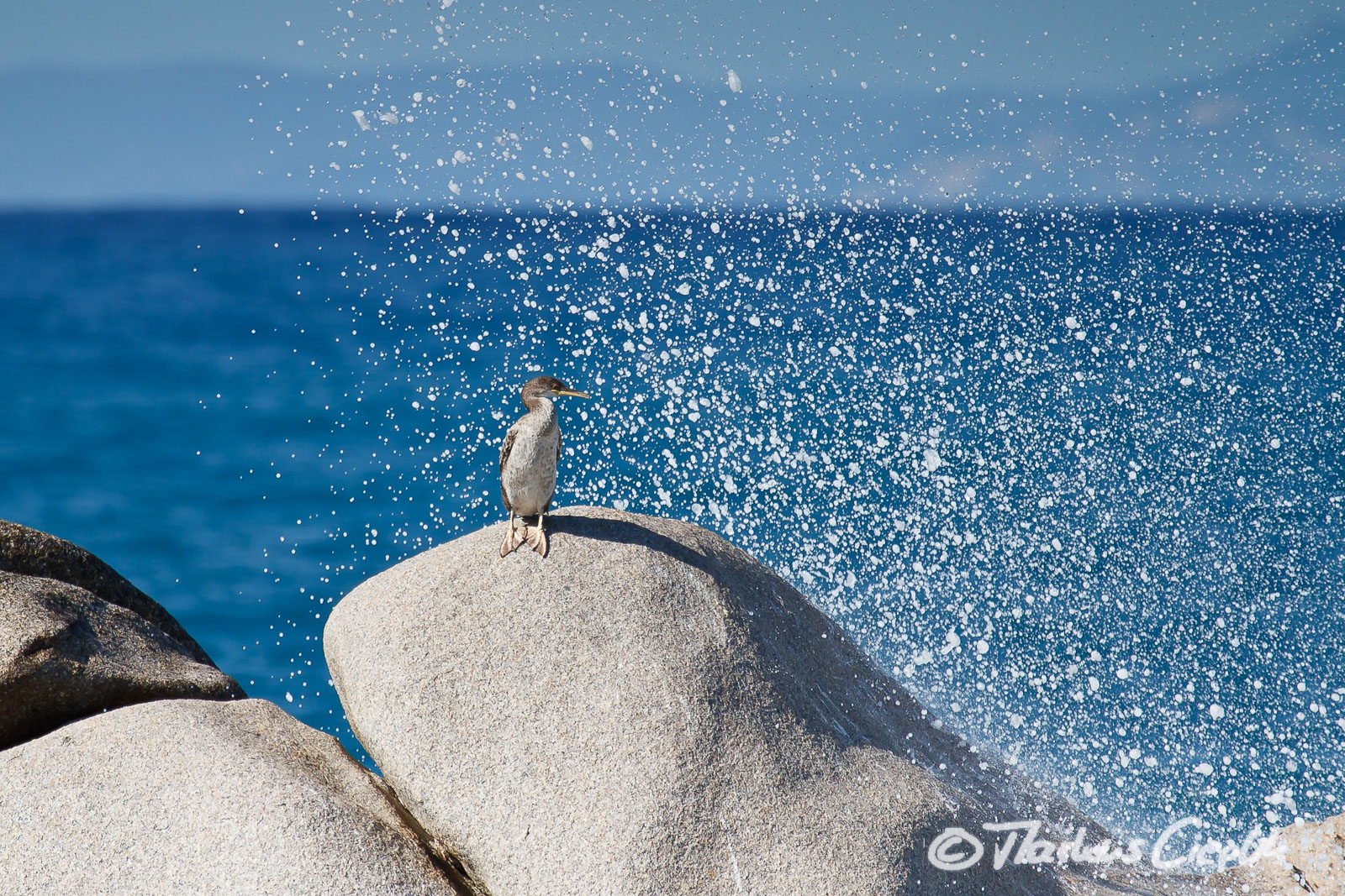 20110920_154128_Sardinien_1287.jpg